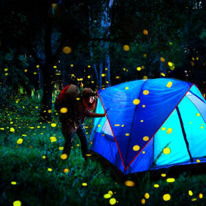 Offbeat Journeys – Fireflies Festival 2026